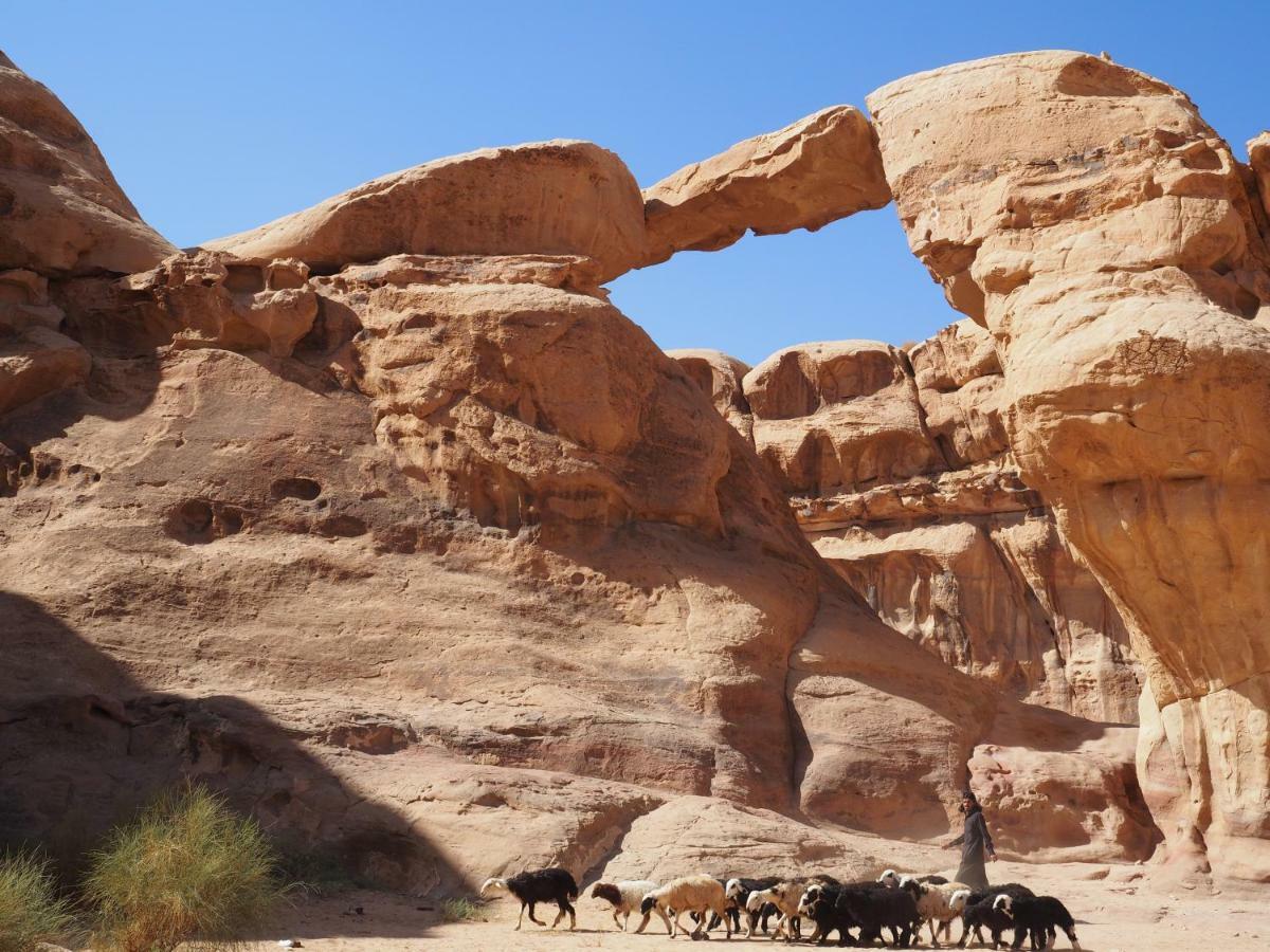 Martian Desert Camp Wadi Rum Exterior foto